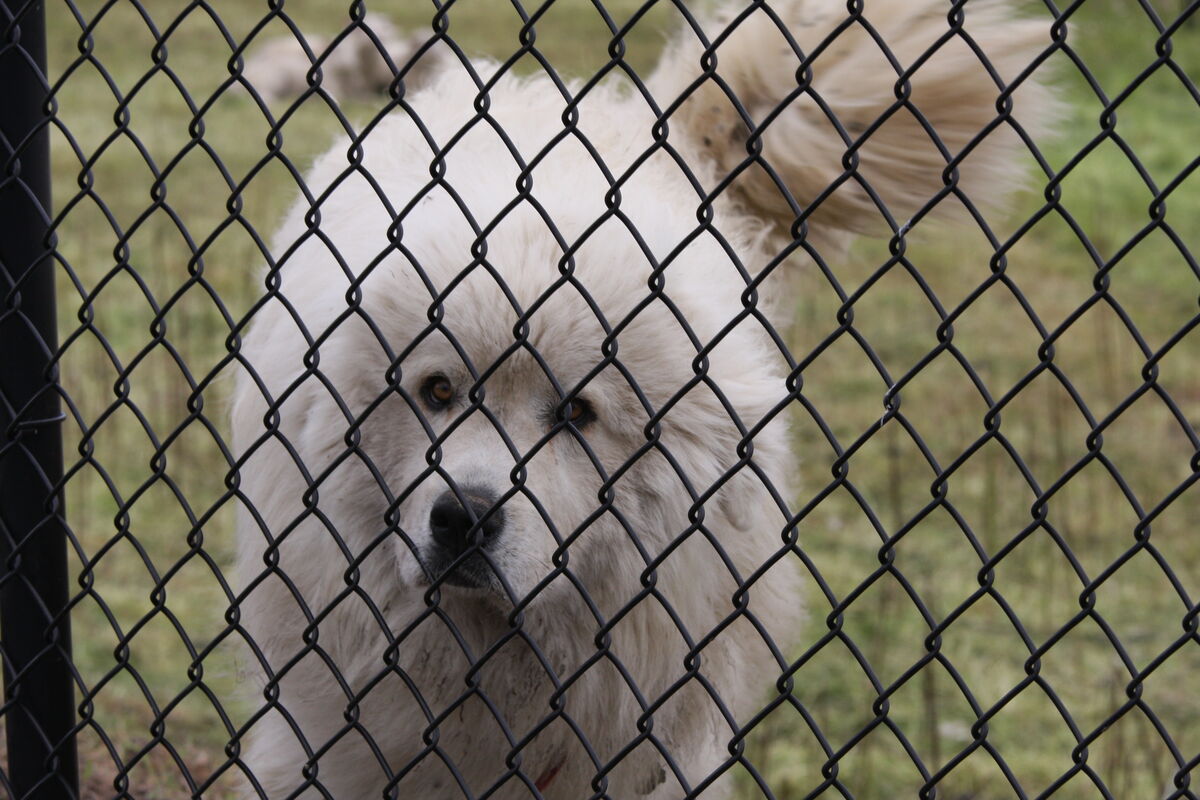 29