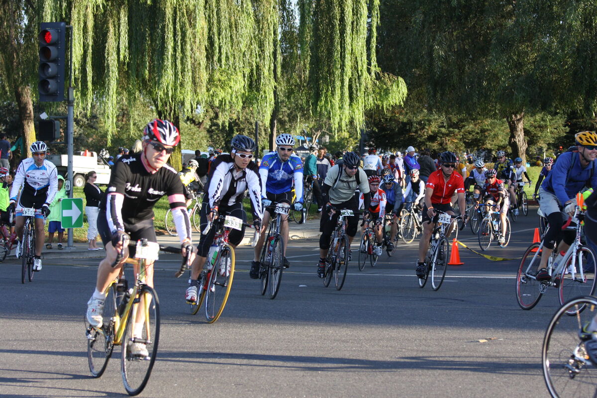 41