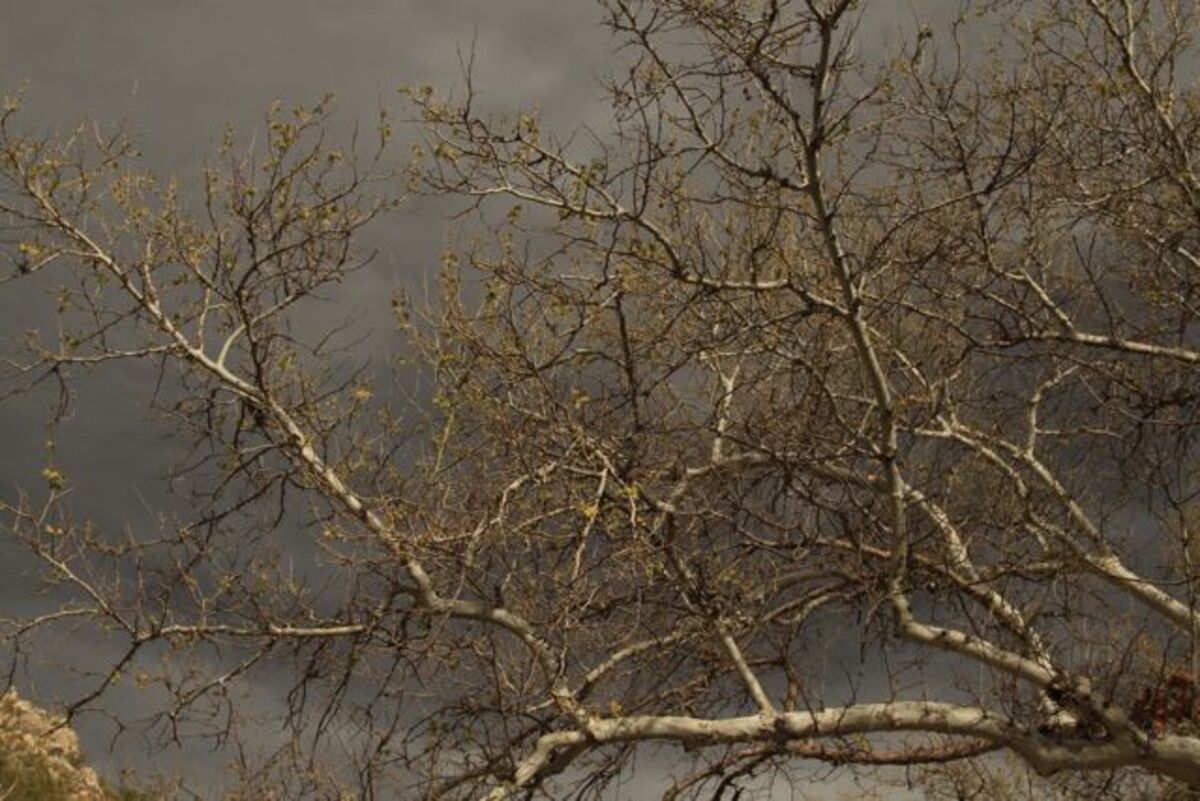 08