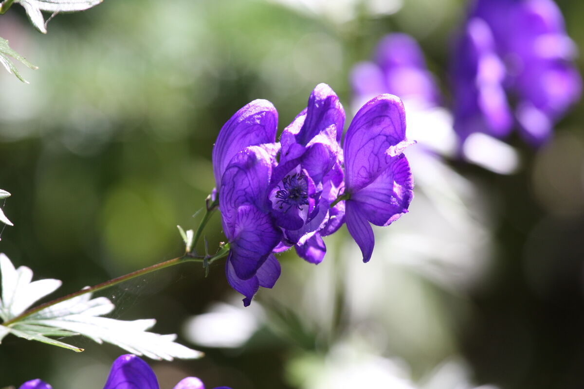 08