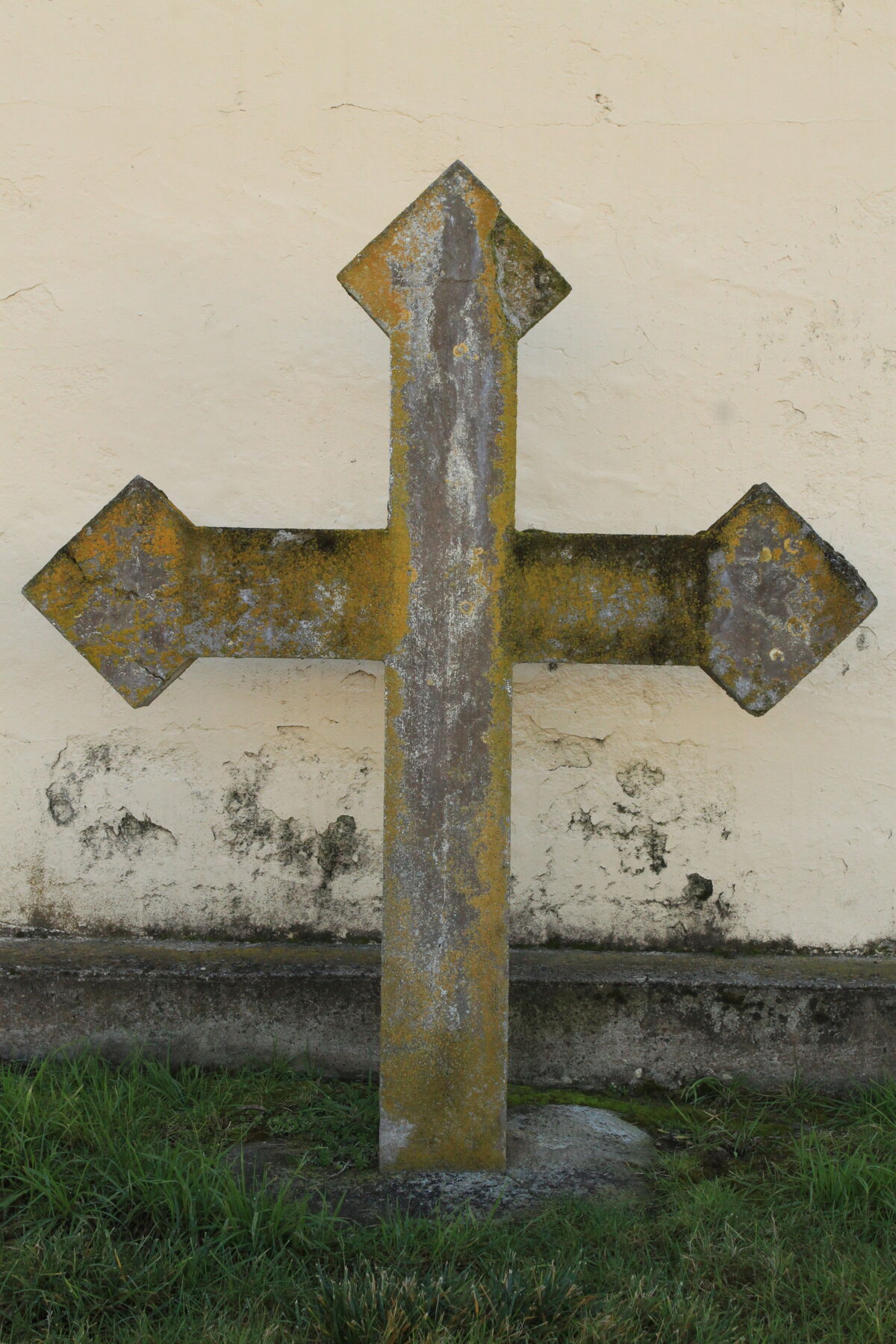 26