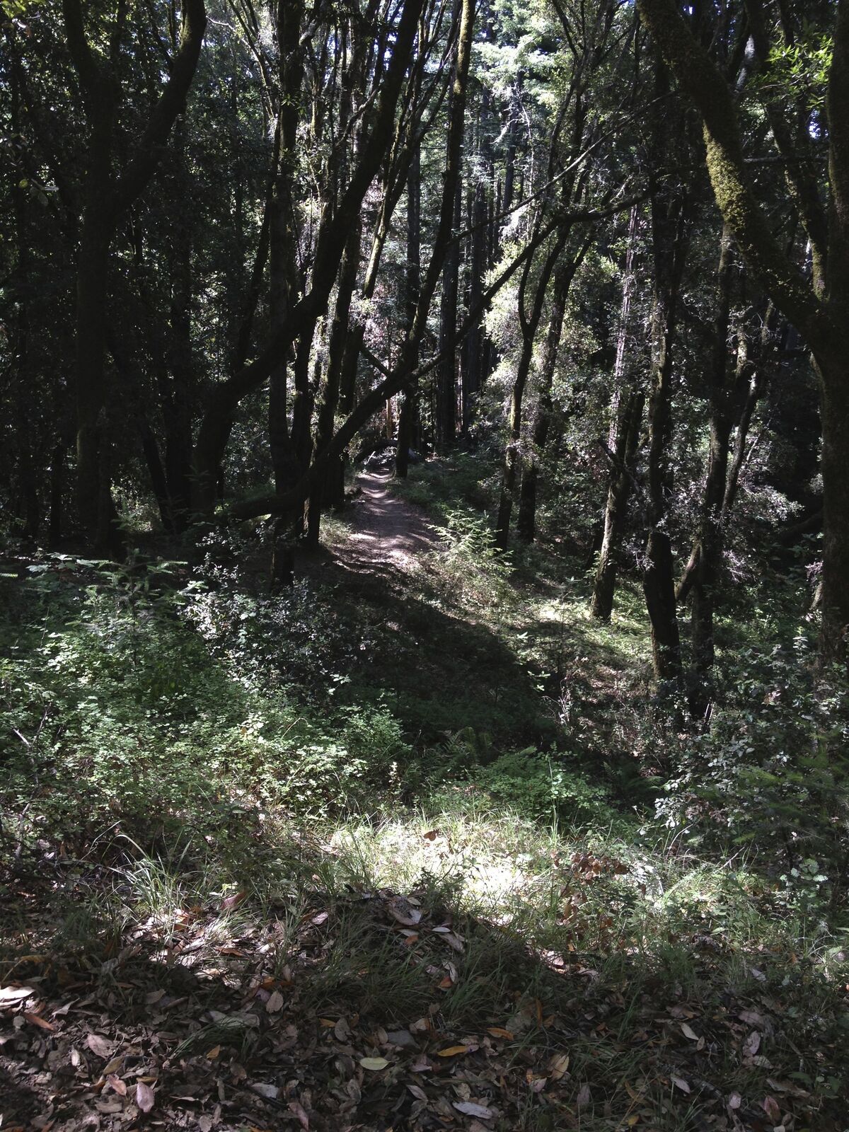 05