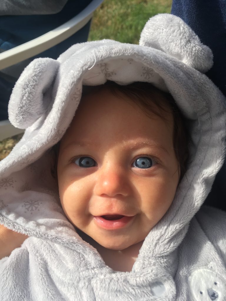baby bear