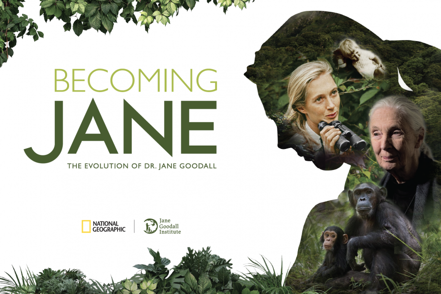 Becoming Jane: The Evolution of Dr. Jane Goodall