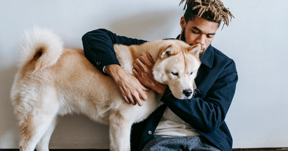 How Emotional Support Animals Help With BPD