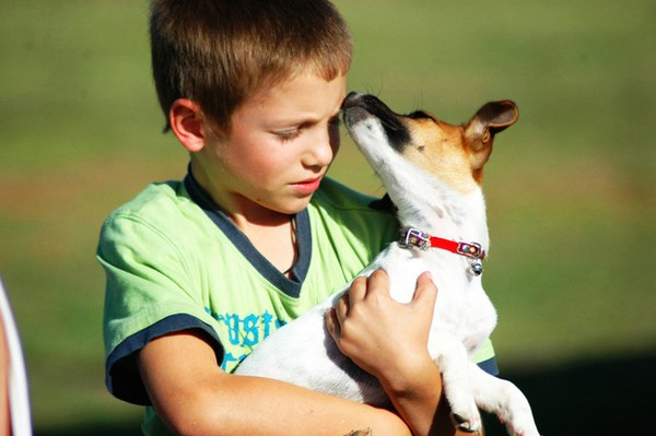 How Emotional Support Animals Help With ADHD