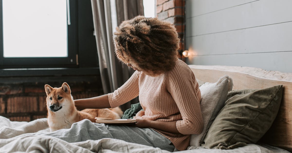 How Emotional Support Animals Help With Social Anxiety