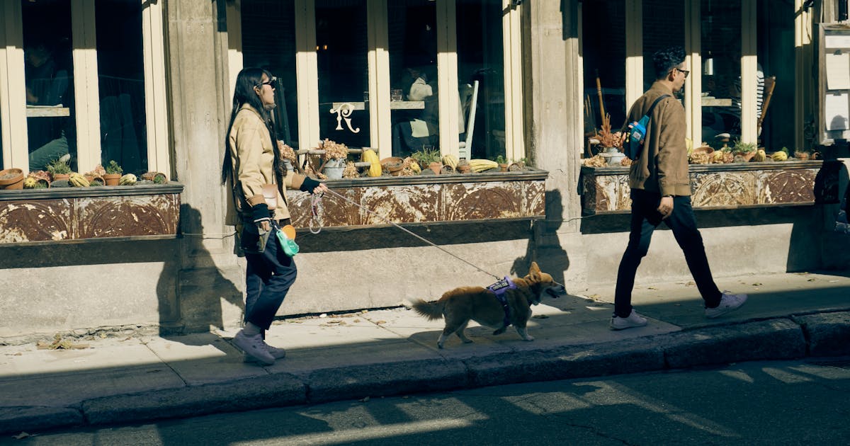 Dog Diplomacy: Tips on Being a Good Neighbor