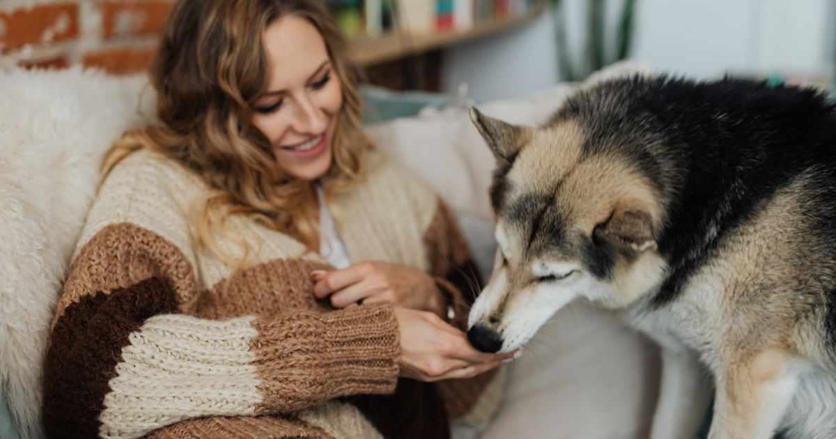 The Basics You Should Know About Emotional Support Animals