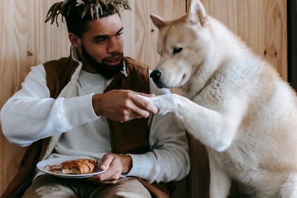 First-Time Pet Owner Guide: What You Need to Know