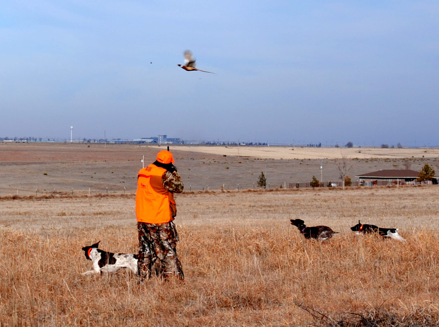 Why We Need Hunting Preserves North American Gamebird Association