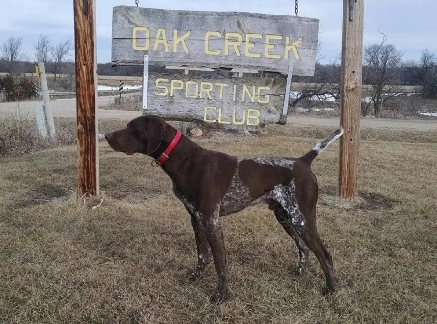 NAGA Conference Clays image 4 1 26