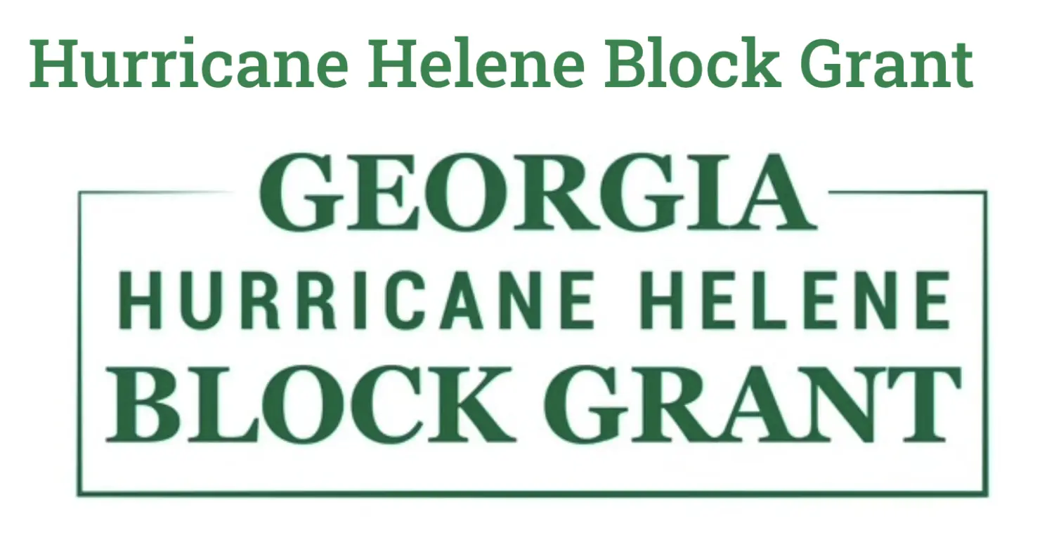 Image Hurricane Helene Grant