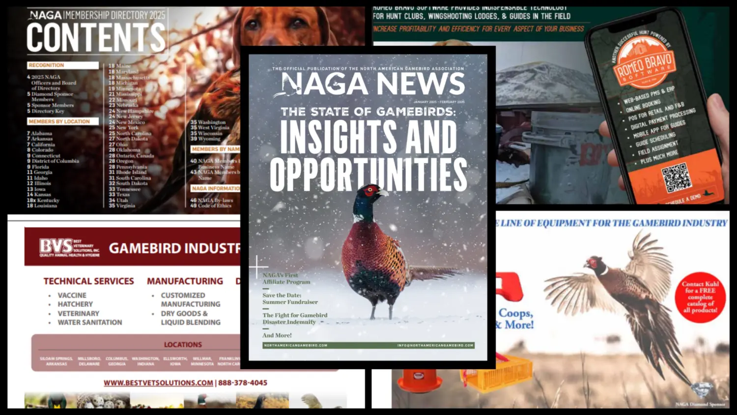 NAGA News Ads Open