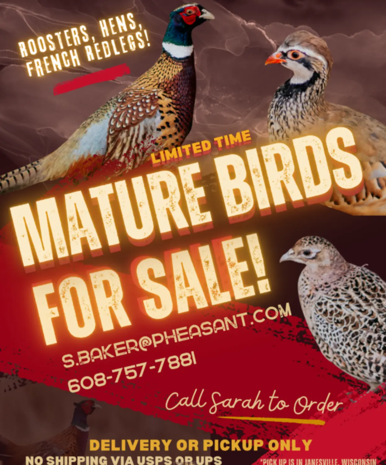 Adult Flight Ready Pheasants