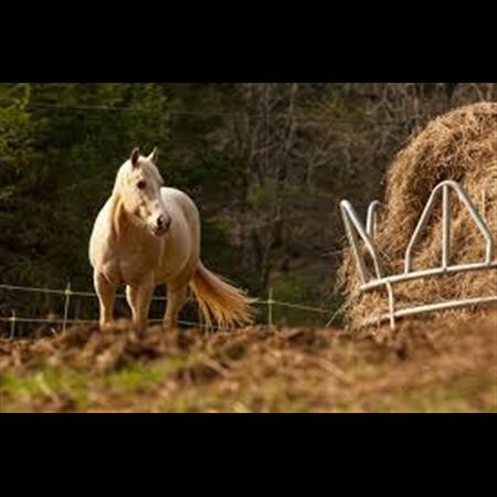 Alcohol Rehab Center Racine WI