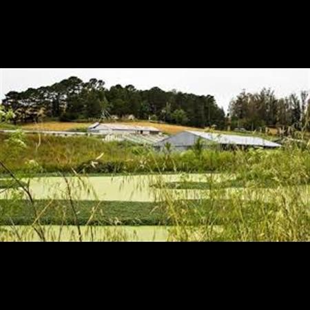 Alcohol Rehab Center Billings MT