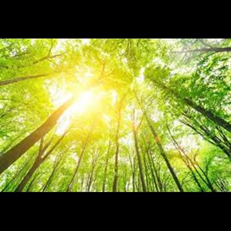 Alcohol Rehab Center Leesburg VA