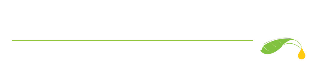 Buy AMBER TECHNOLOGY in Santa Fe, NM from The Critters & Me AMBER TECHNOLOGY Santa Fe New Mexico