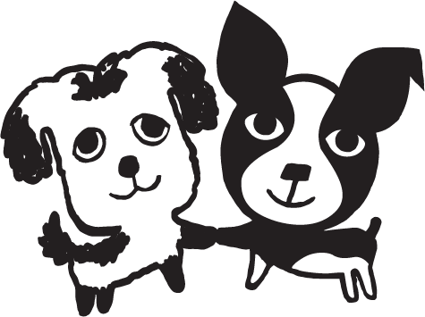 Buy BEAR & RAT in Parker, CO from Essential Pet LLC BEAR & RAT Parker Colorado