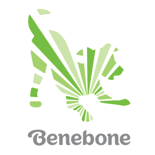Buy Benebone in Bainbridge Island, WA from Z Bones Pet Mercantile Benebone Bainbridge Island Washington