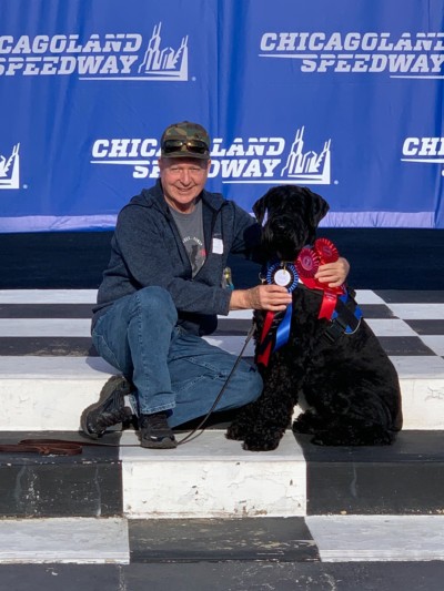 nosework classes near me