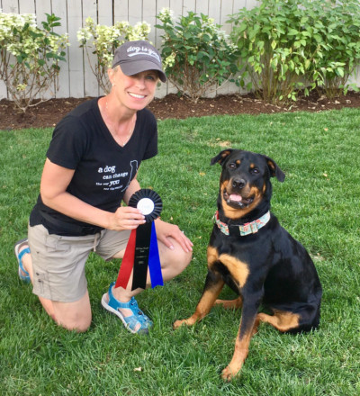 nosework classes near me