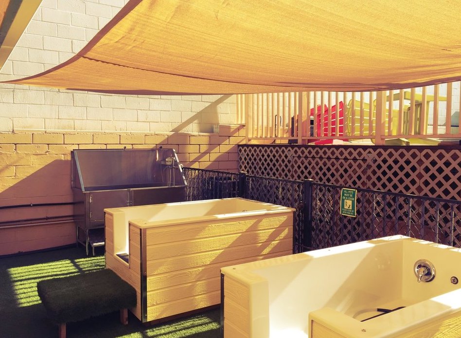 self serve dog wash long beach