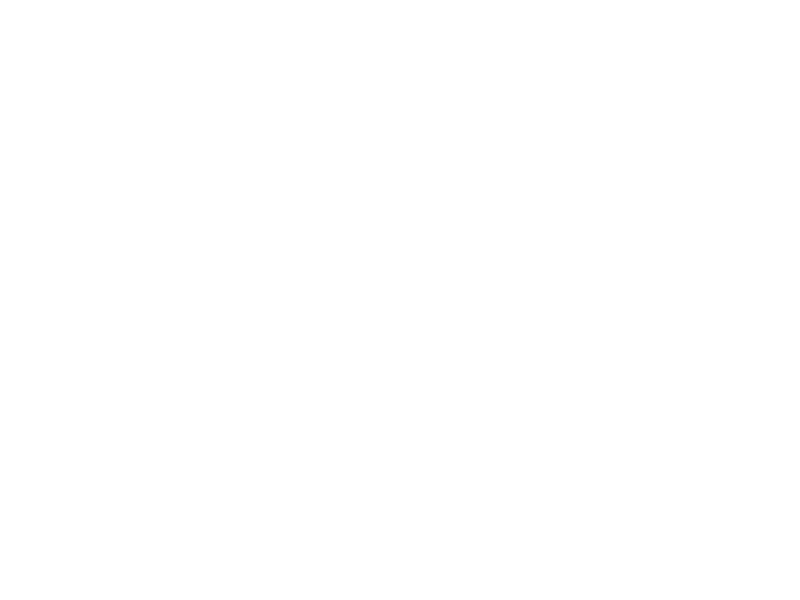 Paw print