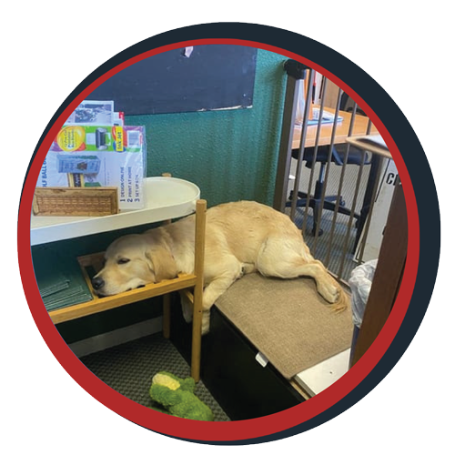 NWBB pledge a pup gallery graphics Bella Aug 20 25