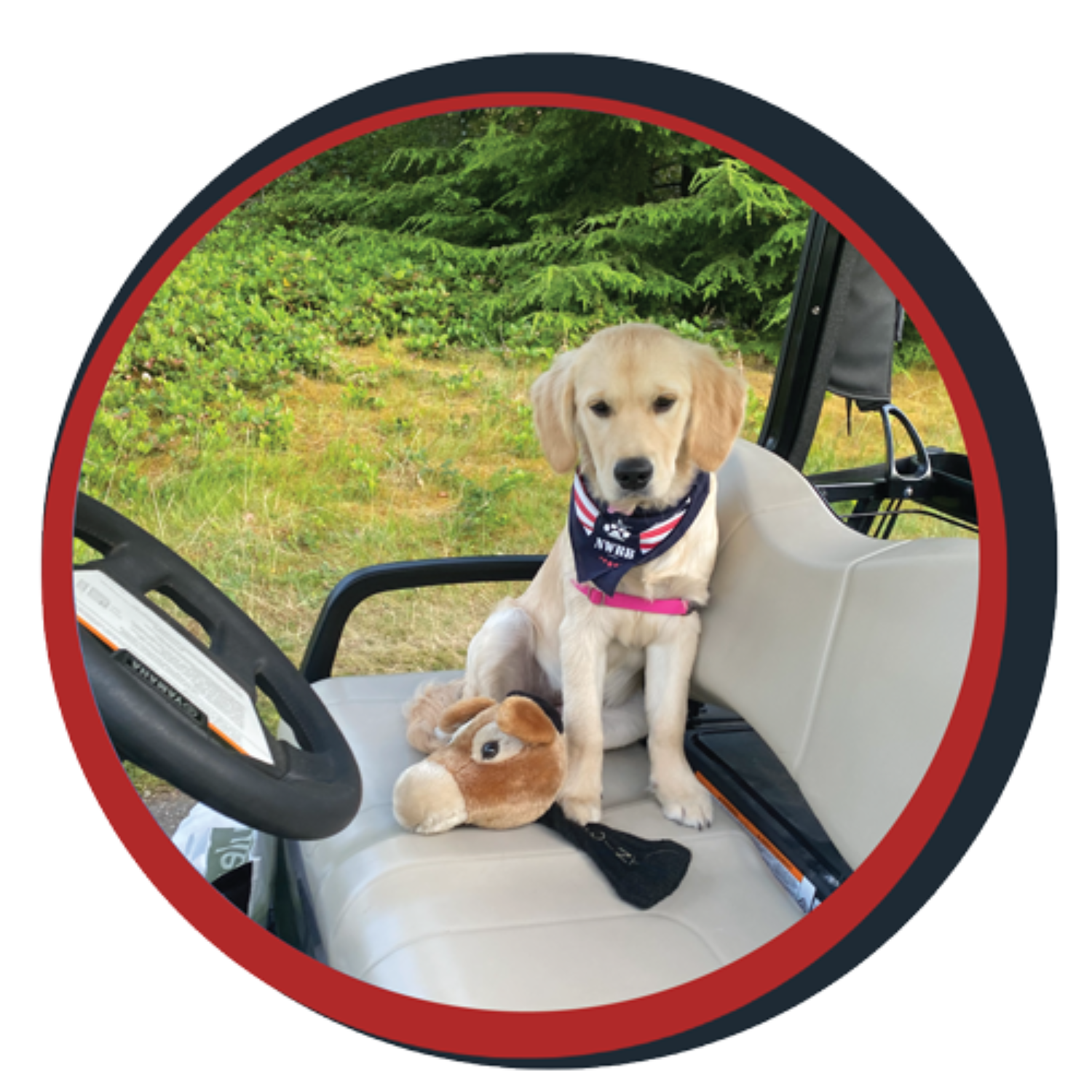 NWBB pledge a pup gallery graphics Bella July 20 25