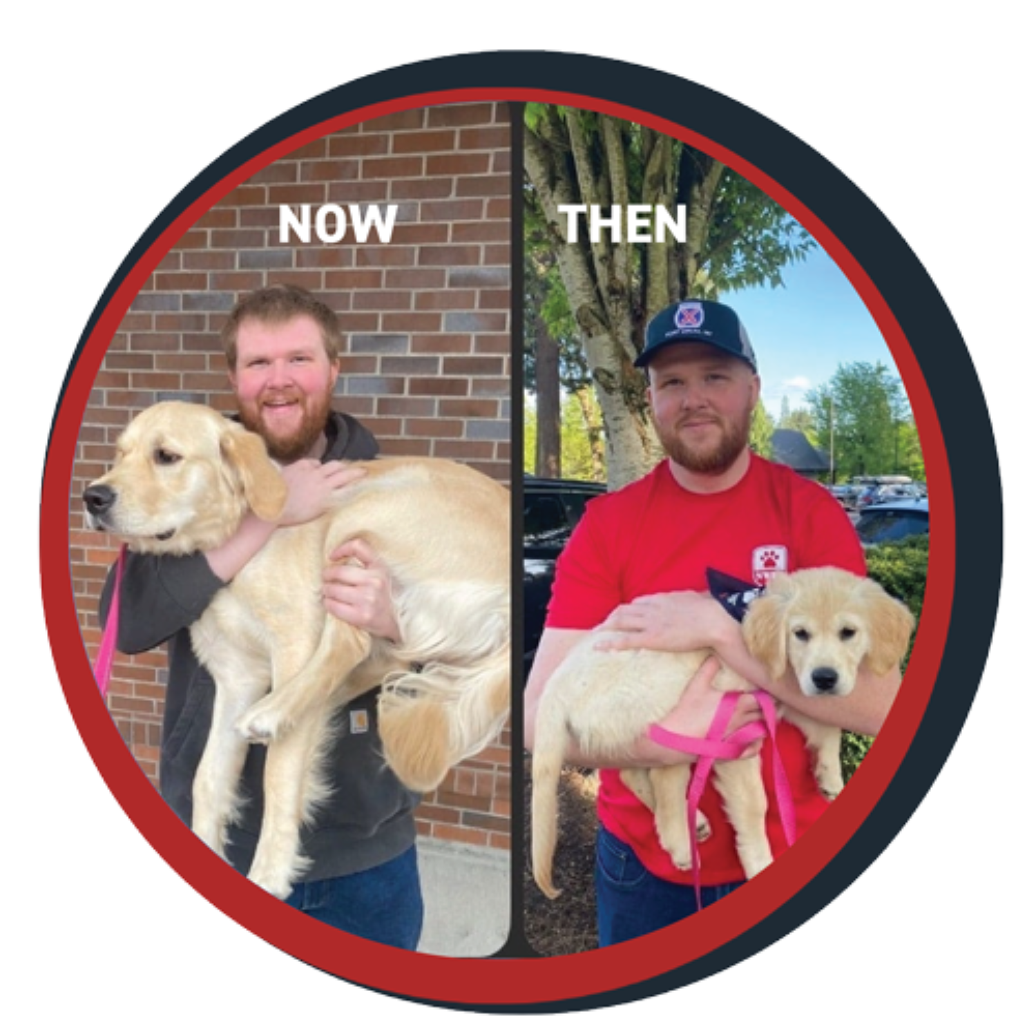 NWBB pledge a pup gallery graphics Bella Nov 20 25
