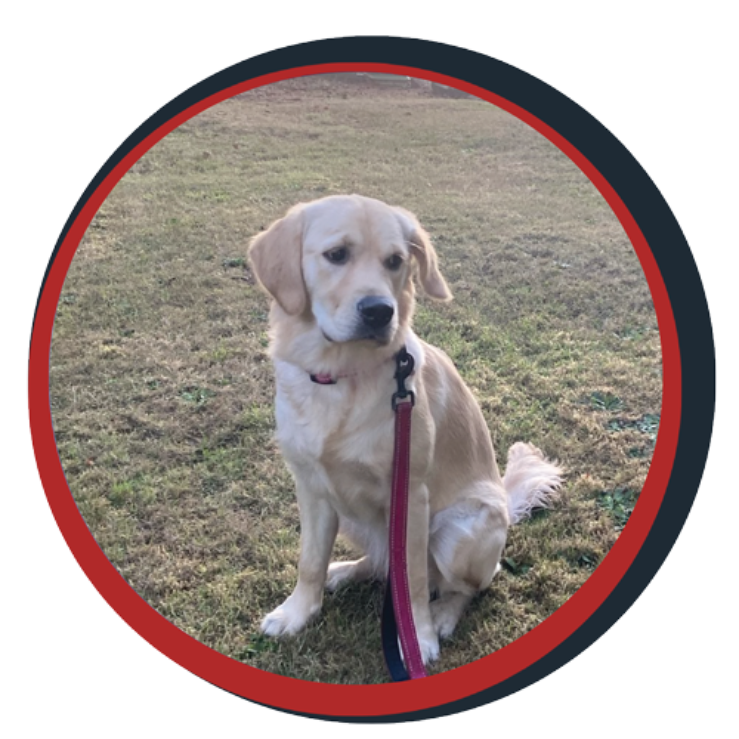 NWBB pledge a pup gallery graphics Bella Oct 20 25