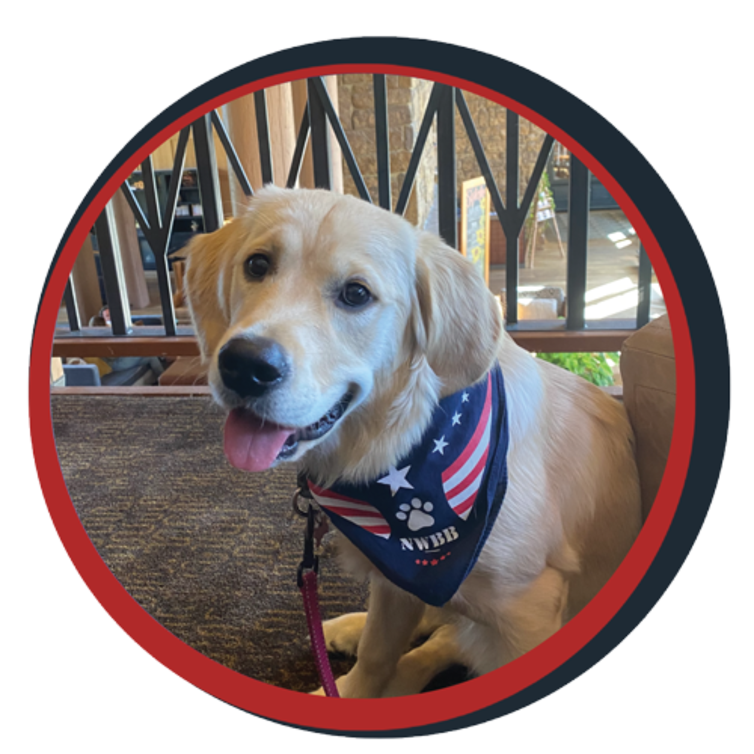 NWBB pledge a pup gallery graphics Bella Sept 20 25