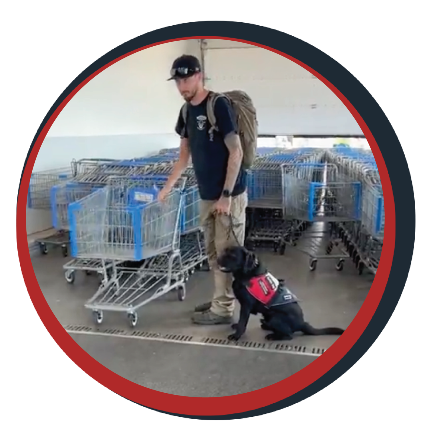 NWBB pledge a pup gallery graphics Orion July 20 26