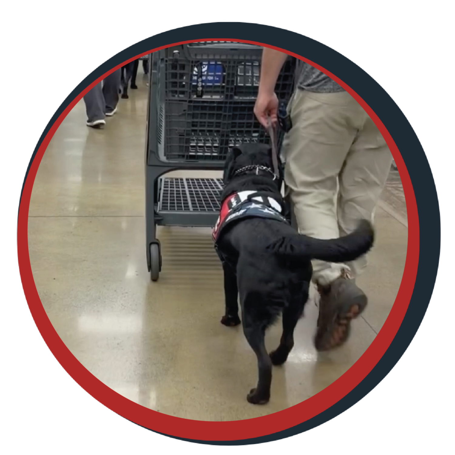 NWBB pledge a pup gallery graphics Orion Sept 26