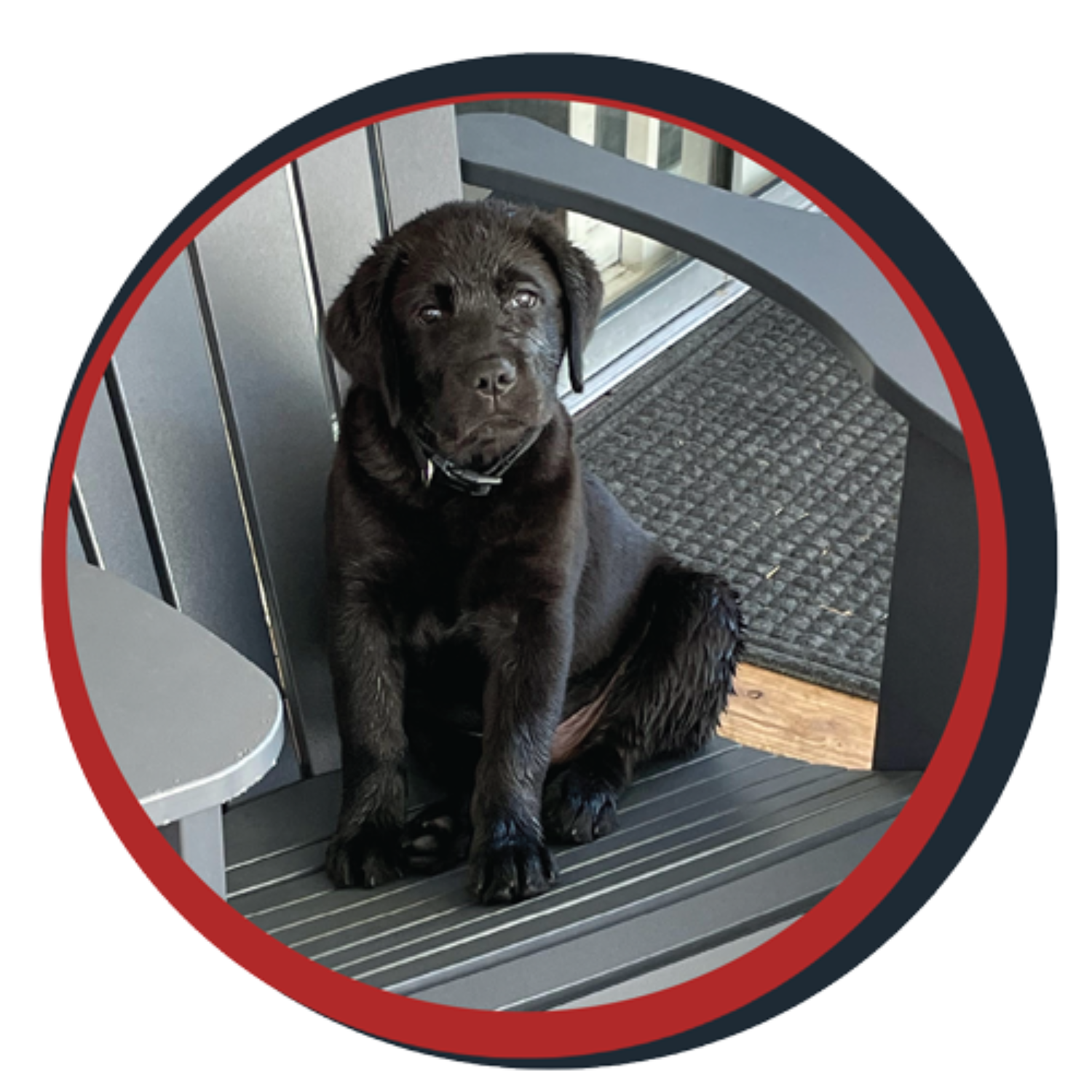 NWBB pledge a pup gallery graphics Orion Sept 20 25