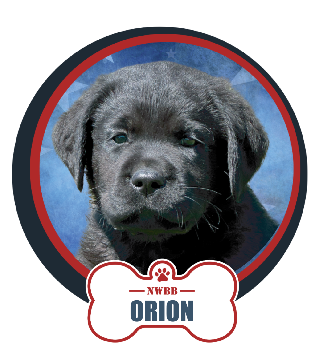 NWBB pledge a pup web graphics orion