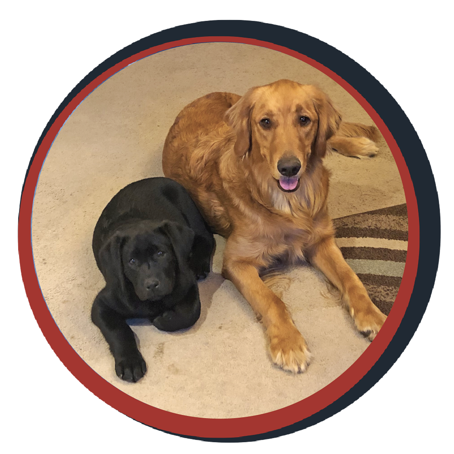 NWBB pledge a pup gallery graphics quinn May 03 24