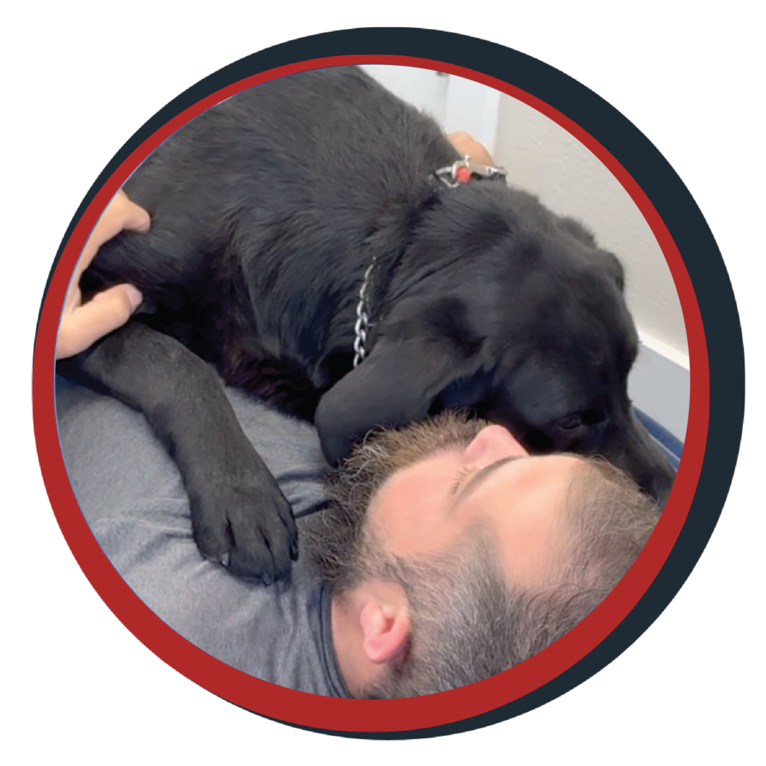 NWBB pledge a pup gallery graphics quinn May 20 25