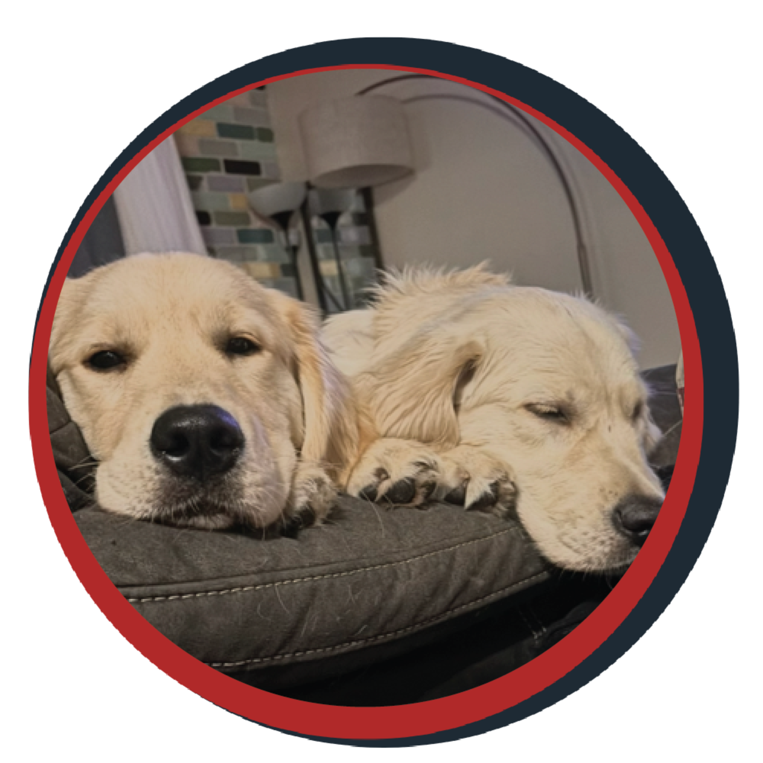 NWBB pledge a pup gallery graphics Ronin September 26