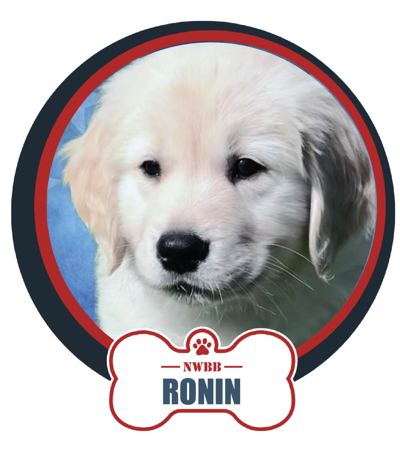 NWBB pledge a pup web graphics ronin