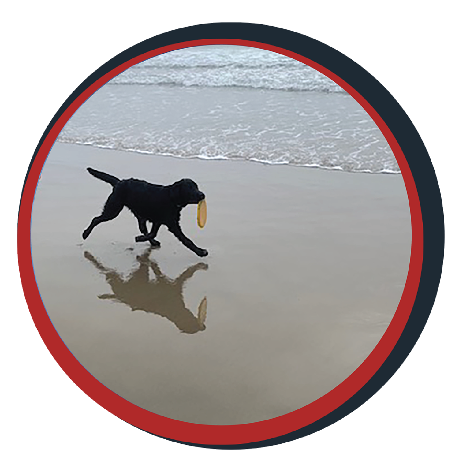 NWBB pledge a pup gallery graphics smoky July 10 24