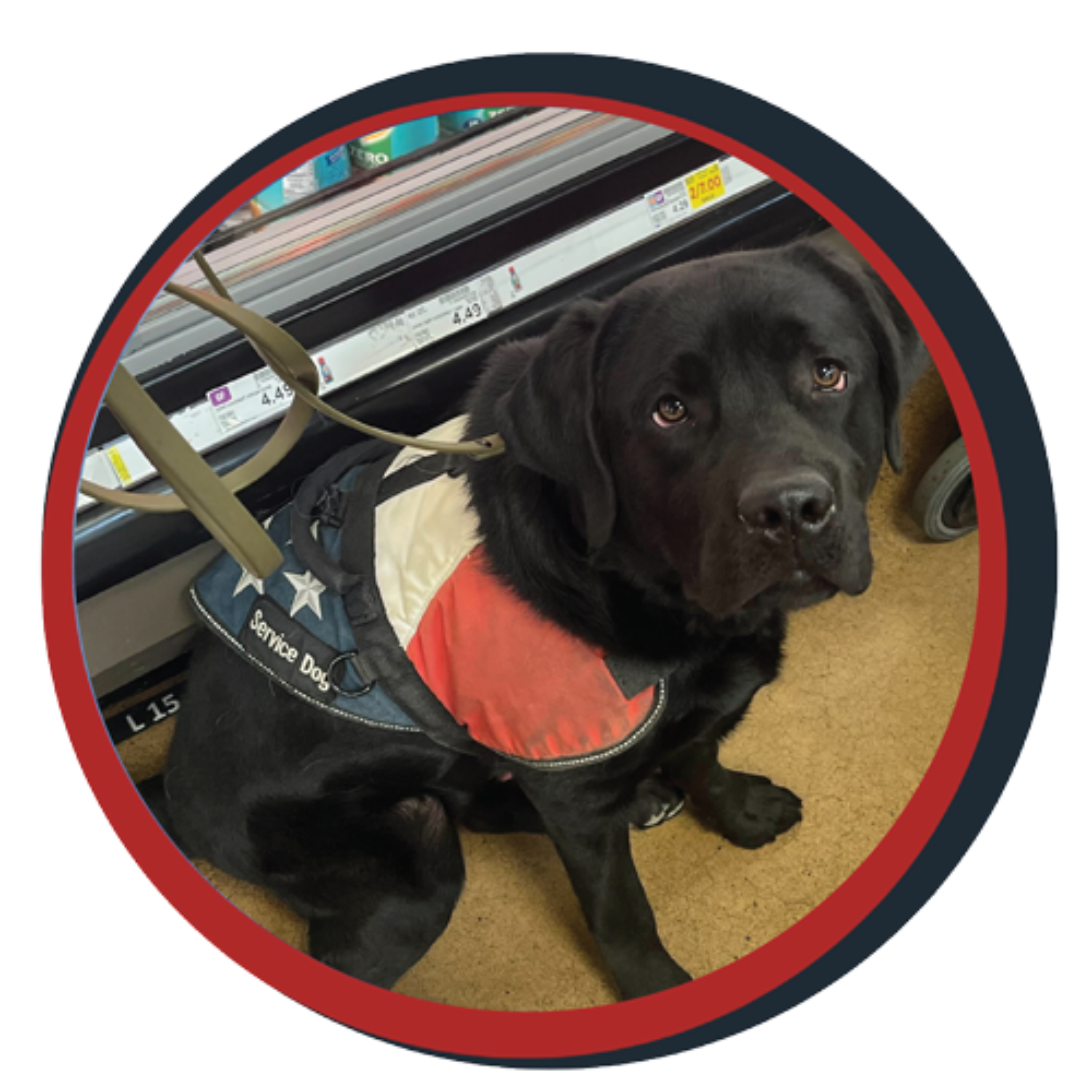 NWBB pledge a pup gallery graphics smoky Aug 20 25