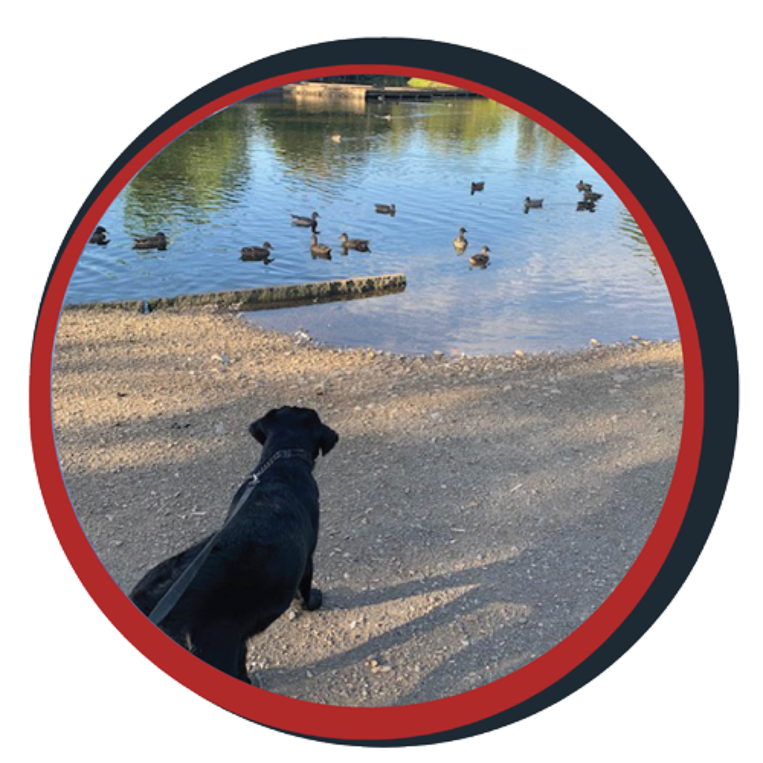 NWBB pledge a pup gallery graphics smoky Sept 15 24