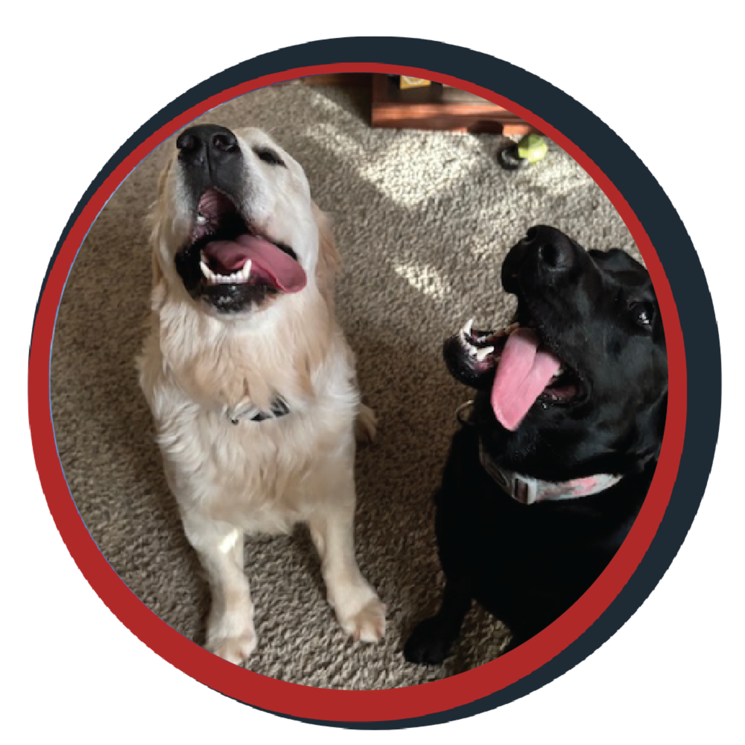 NWBB pledge a pup gallery graphics winston April 15 25