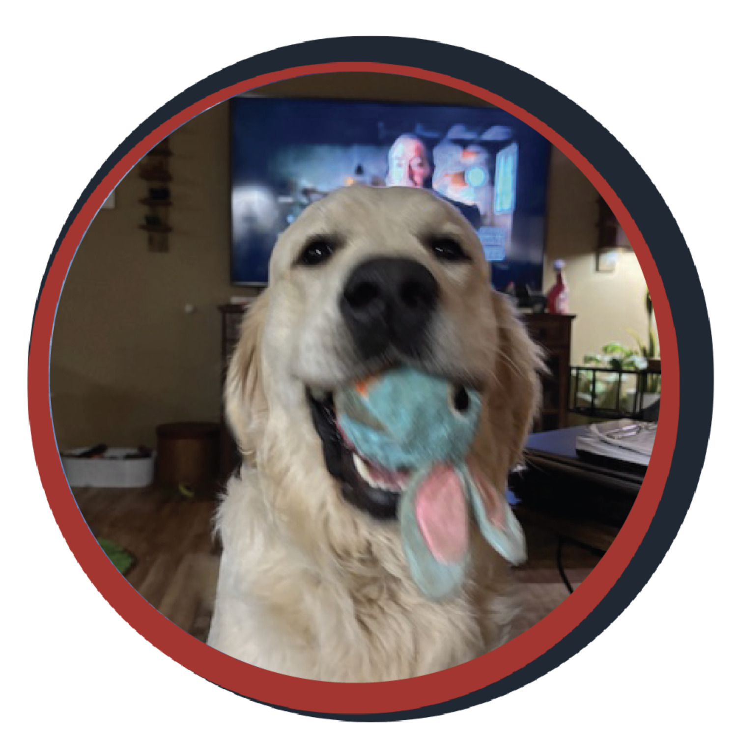 NWBB pledge a pup gallery graphics winston April 25 25