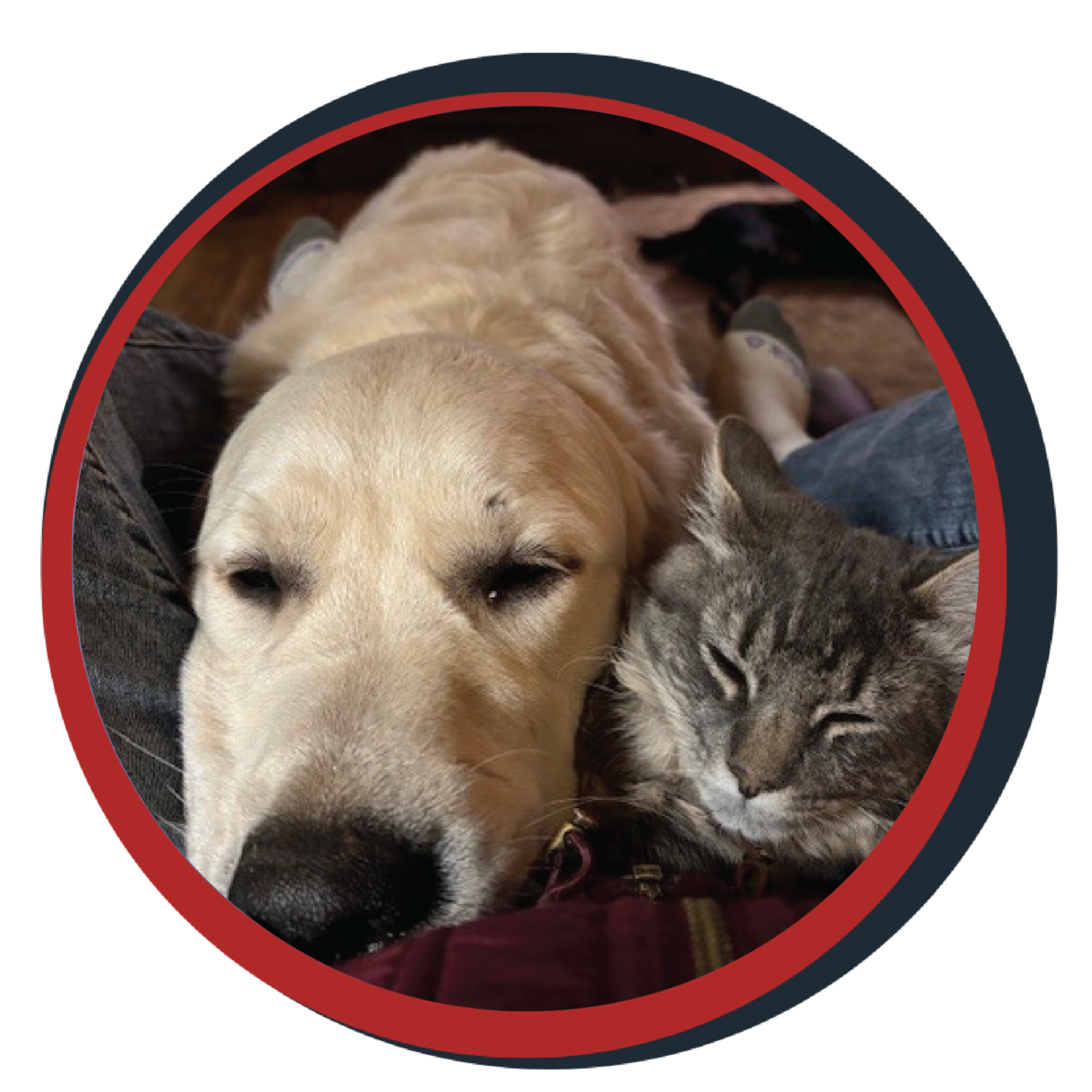 NWBB pledge a pup gallery graphics winston Feb 20 25
