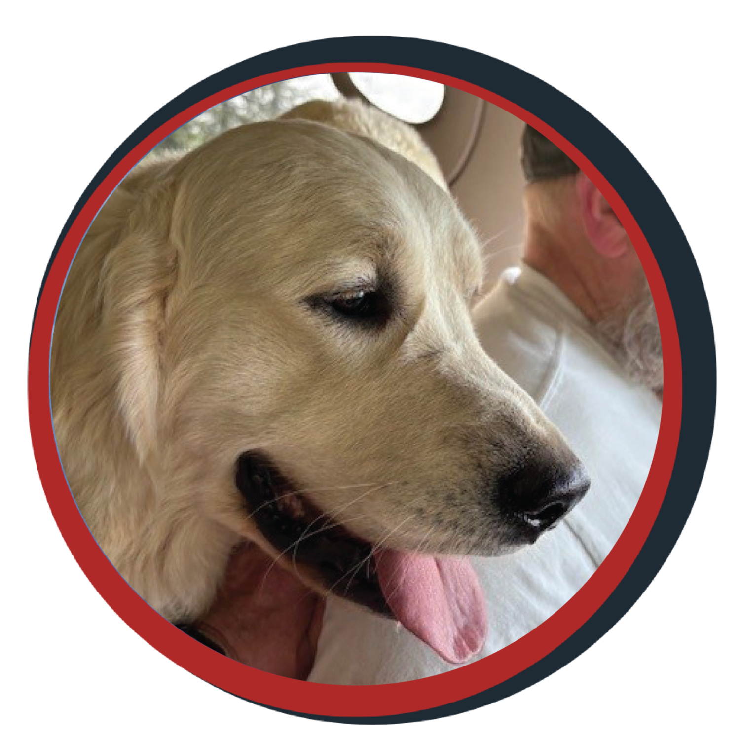 NWBB pledge a pup gallery graphics winston May 20 25