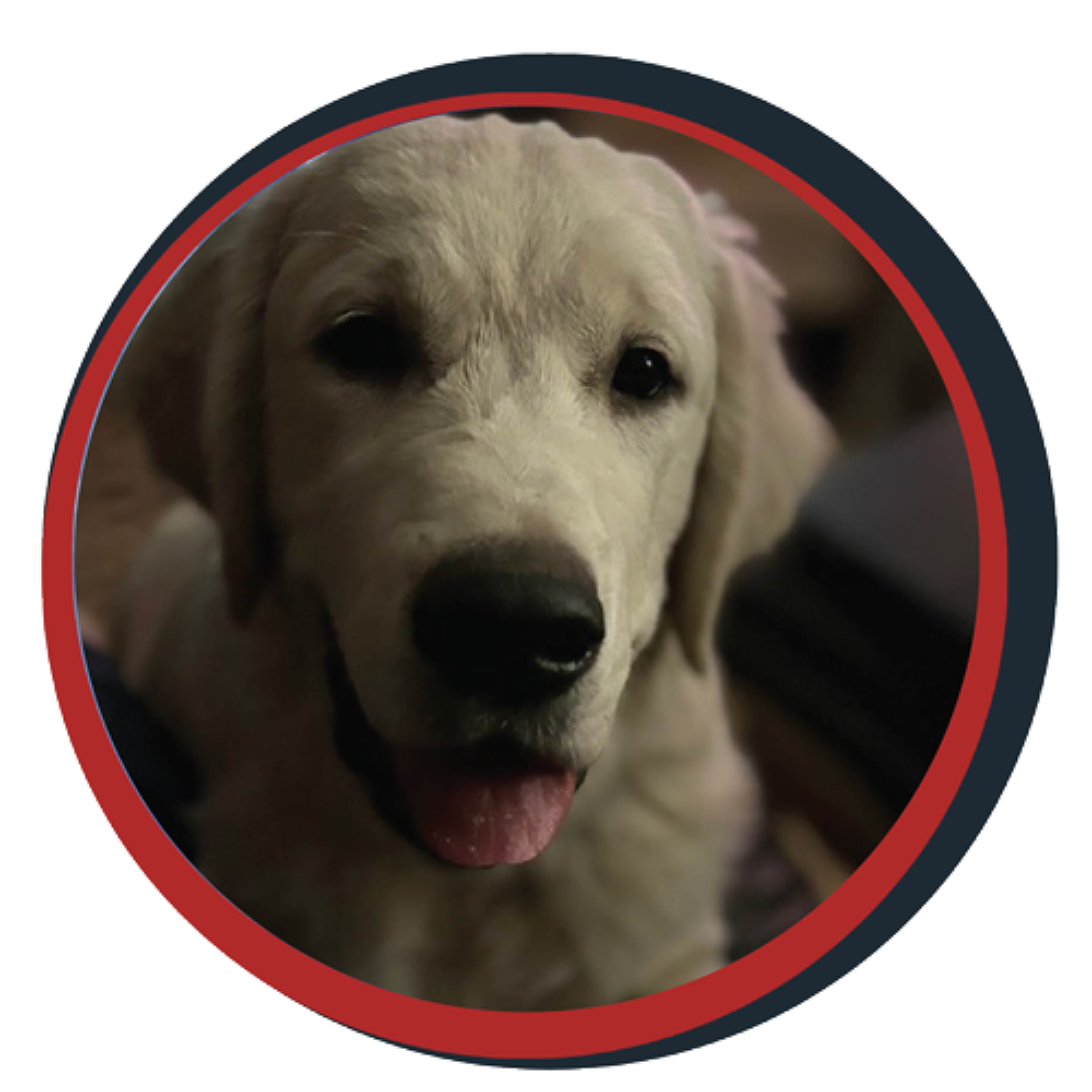 NWBB pledge a pup gallery graphics winston Septmeber 15 2024